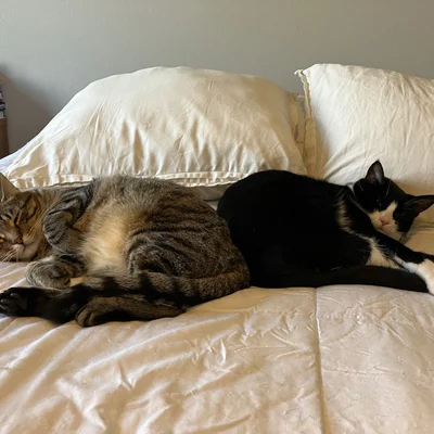 Xena & Midna